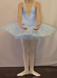 Tutu on leotard made to order